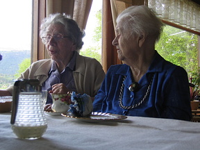IMG 9019