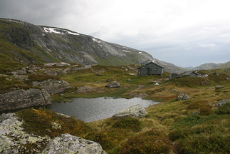 IMG 3008