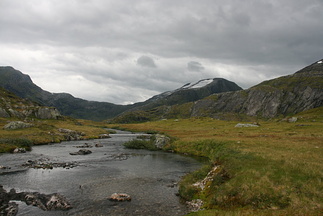 IMG 3009