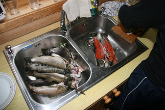 IMG 3088