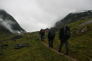 IMG 3131