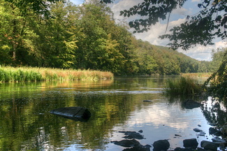 River near Herbeumont