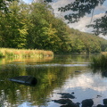 River near Herbeumont