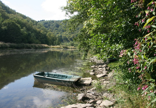 Semois near Frahan