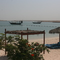 IMG 4235