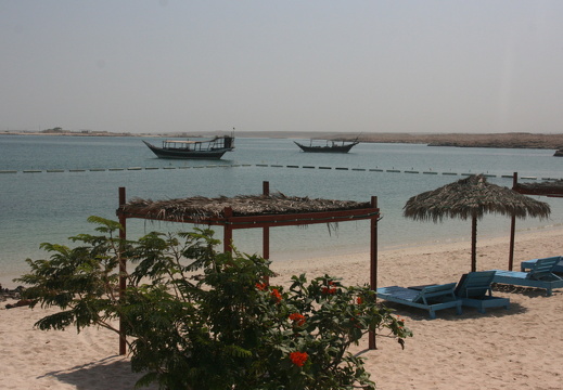 IMG 4235