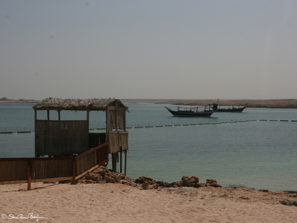IMG 4248