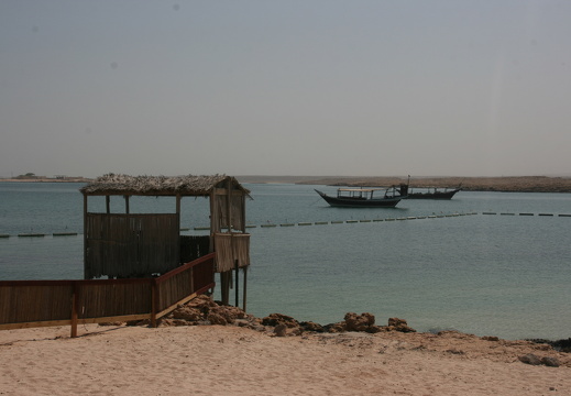 IMG 4248