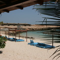 IMG 4259
