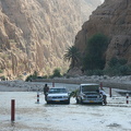 IMG 4355