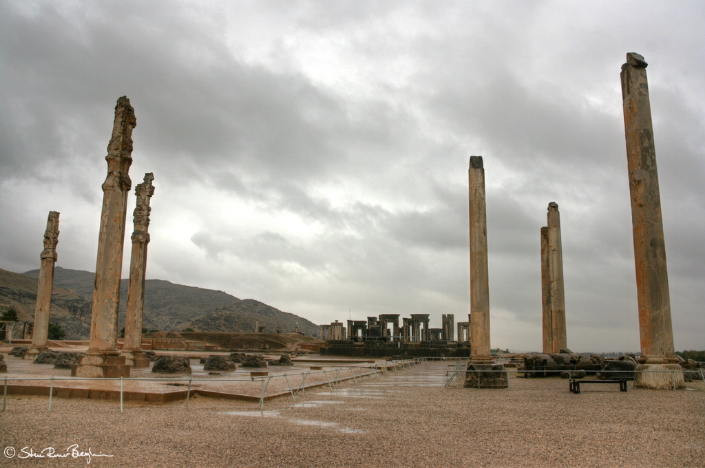 Persepolis columns
