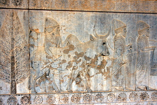 Carving at Persepolis