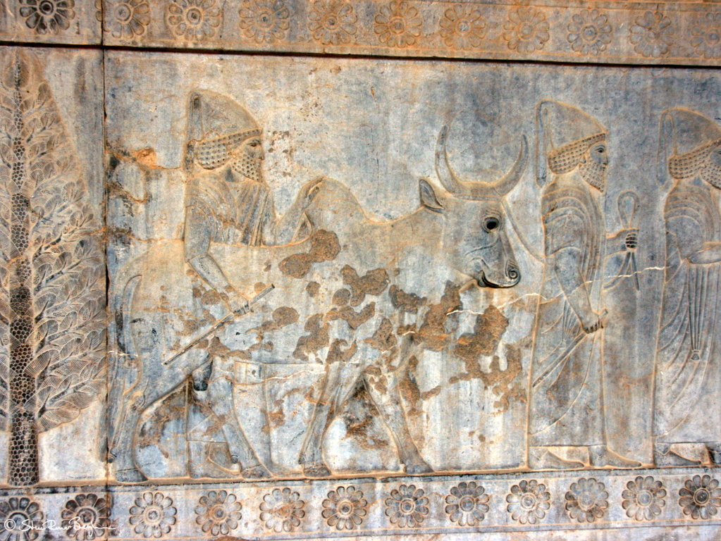 Carving at Persepolis