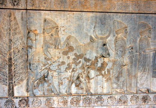 Carving at Persepolis