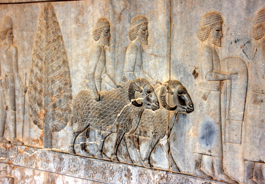 Carving at Persepolis