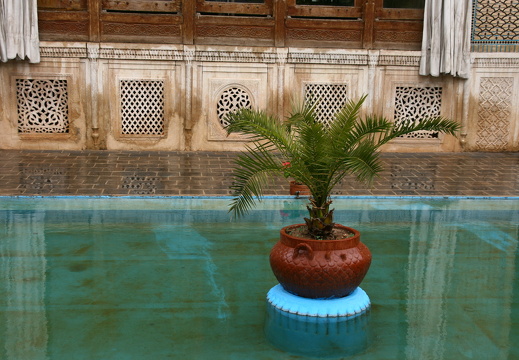 Flowerpot in pool at Zinat ol Molk House