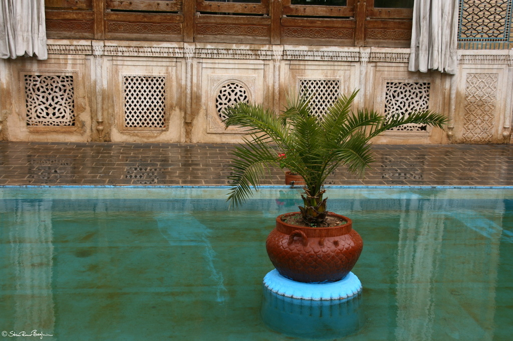 Flowerpot in pool at Zinat ol Molk House