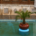 Flowerpot in pool at Zinat ol Molk House