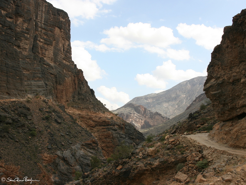 Road through Wadi Bani Awf