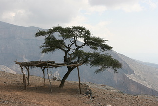 Shaded area on Jebel Shams