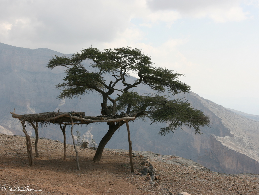 Shaded area on Jebel Shams