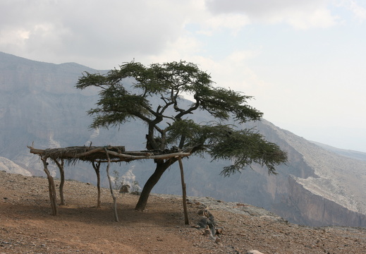 Shaded area on Jebel Shams