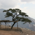 Shaded area on Jebel Shams