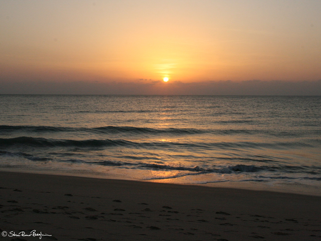 Sunrise at Ras al Jinz Beach