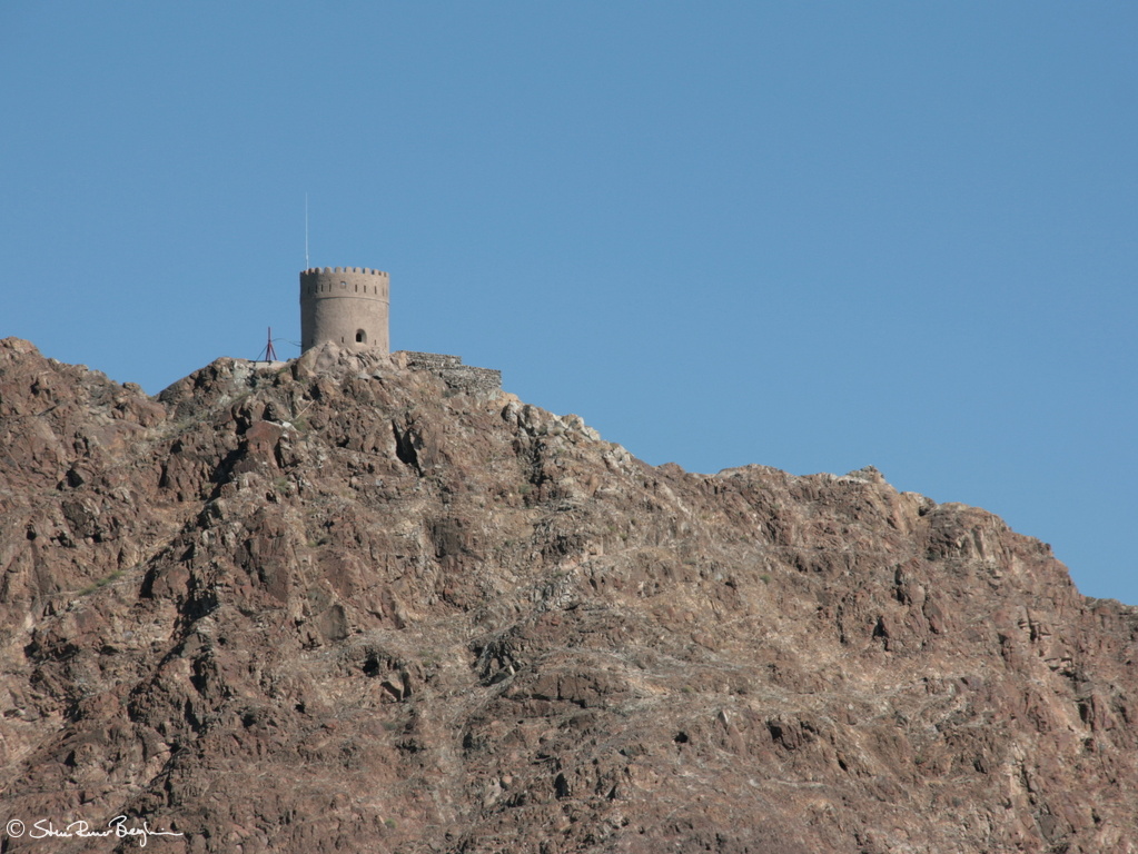 IMG 7760