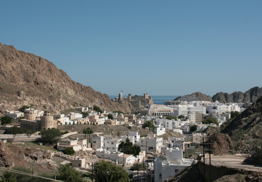 IMG 7761