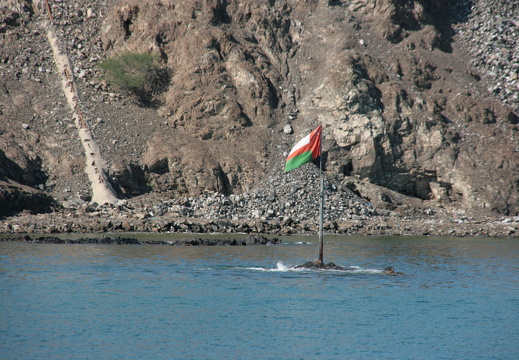 IMG 7792