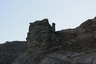 IMG 8036