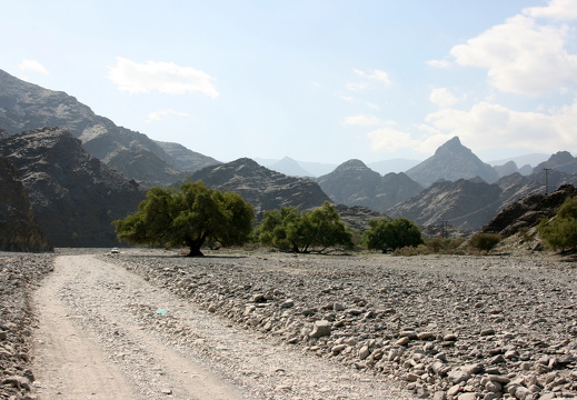 IMG 7525