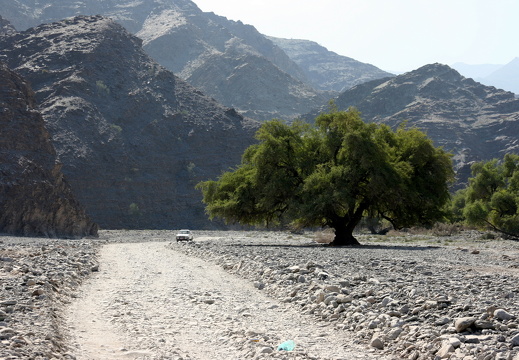 IMG 7526