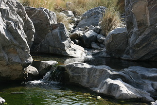 Rock pool in Wadi Tiwi