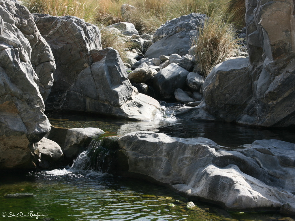 Rock pool in Wadi Tiwi