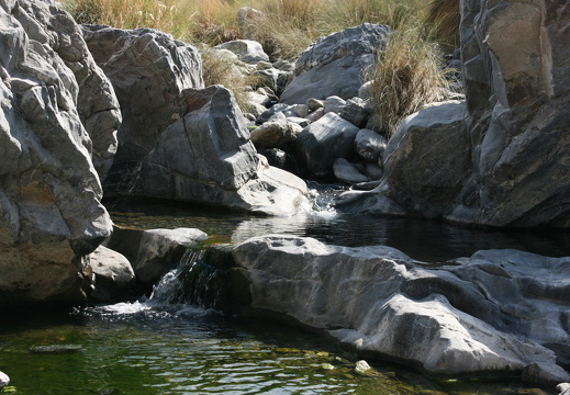 Rock pool in Wadi Tiwi