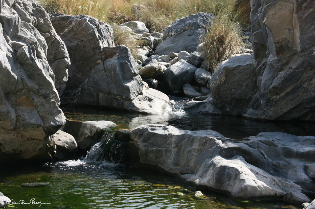 Rock pool in Wadi Tiwi