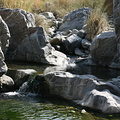 Rock pool in Wadi Tiwi