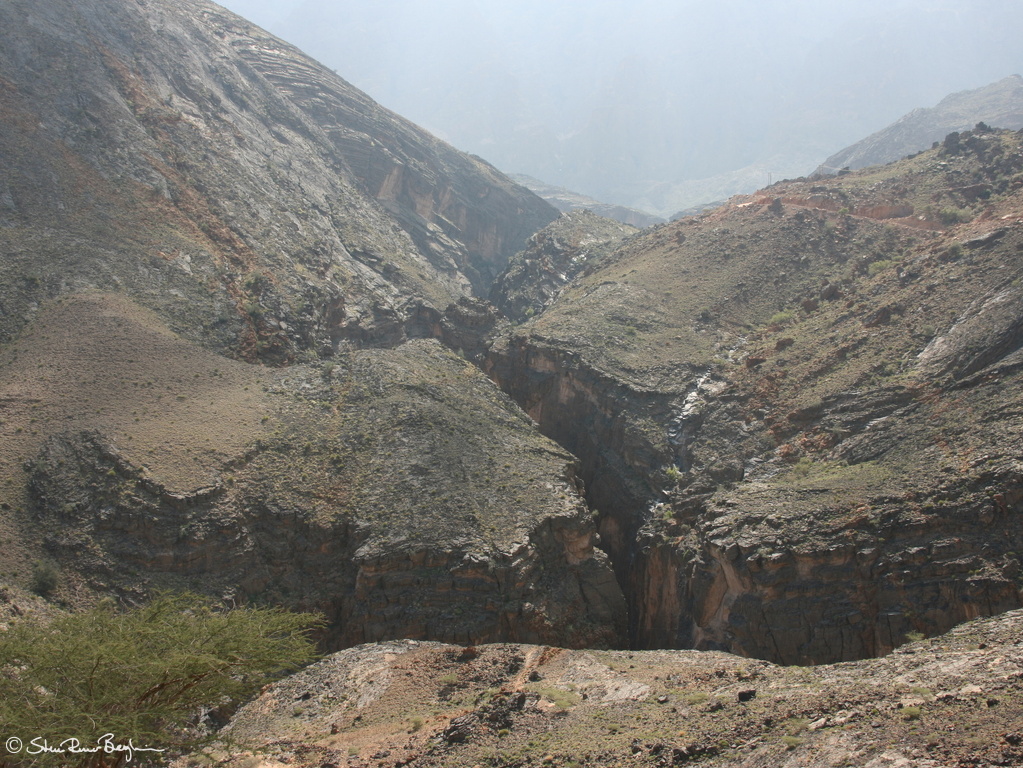 IMG 7570