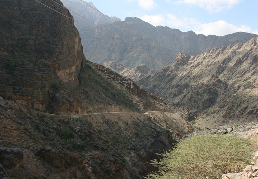 IMG 7581