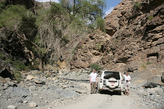 IMG 7593