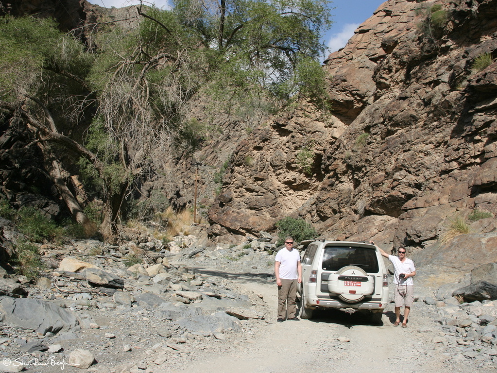 IMG 7593