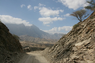 IMG 7599