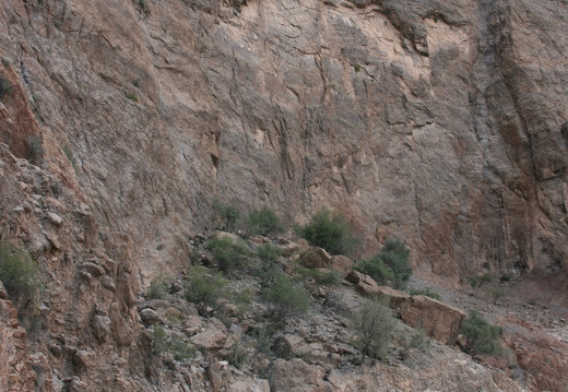 IMG 7625