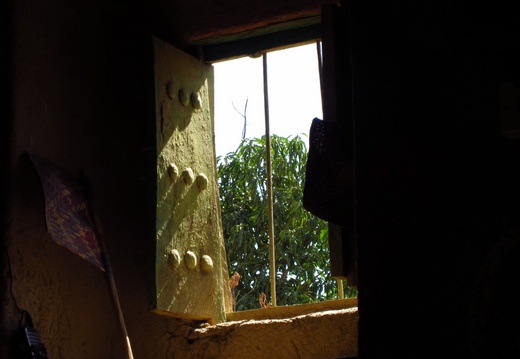 IMG 0555