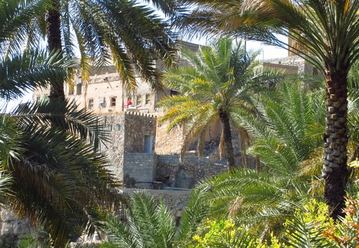 Scene from Misfat Al Abriyeen