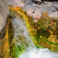IMG 0584