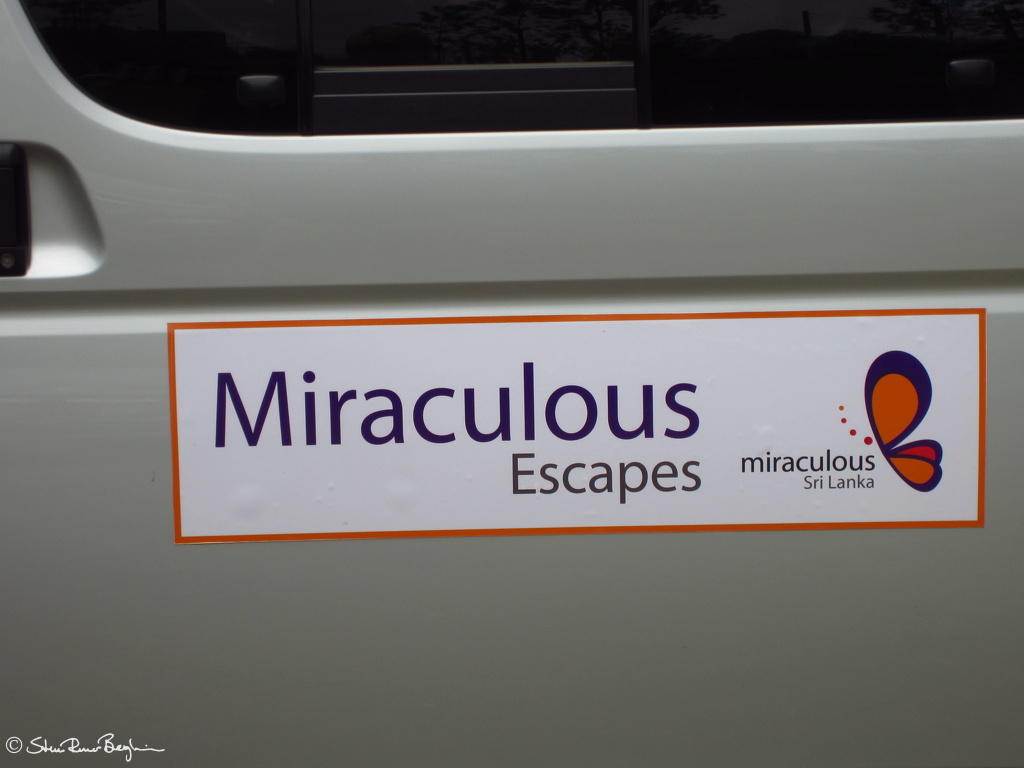 Miraculous Escapes