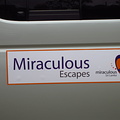 Miraculous Escapes
